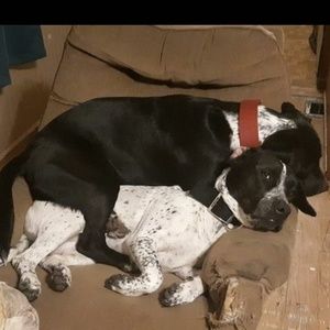 Meet your Posher, Levi